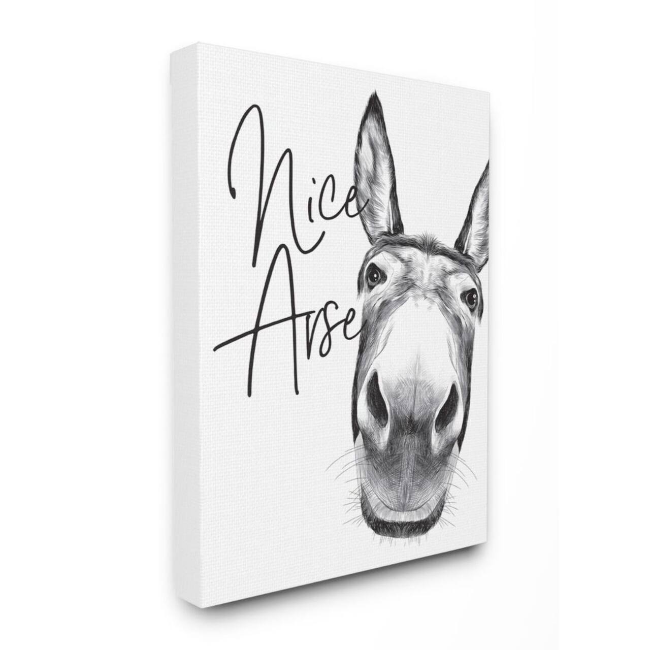 Stupell Industries Animal Humor Nice Arse Donkey Bathroom Phrase Canvas Wall Art